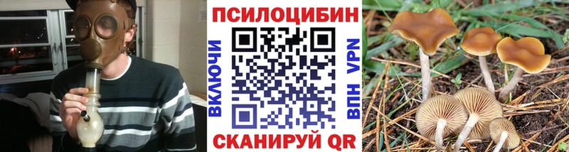 Купить где  Якутск  Псилоцибиновые грибы GOLDEN TEACHER 